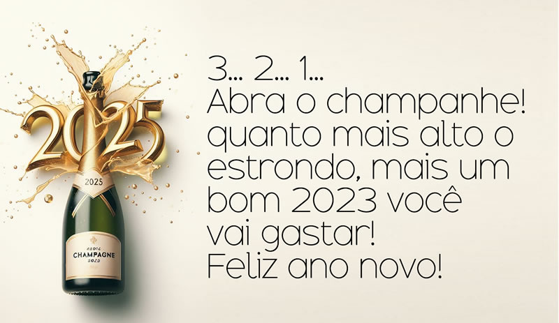 Mensagem de Ano Novo: 3 ... 2 ... 1 ... Abra o champanhe! quanto mais alto o estrondo você fizer, mais um belo 2024 você gastará! Feliz Ano Novo!